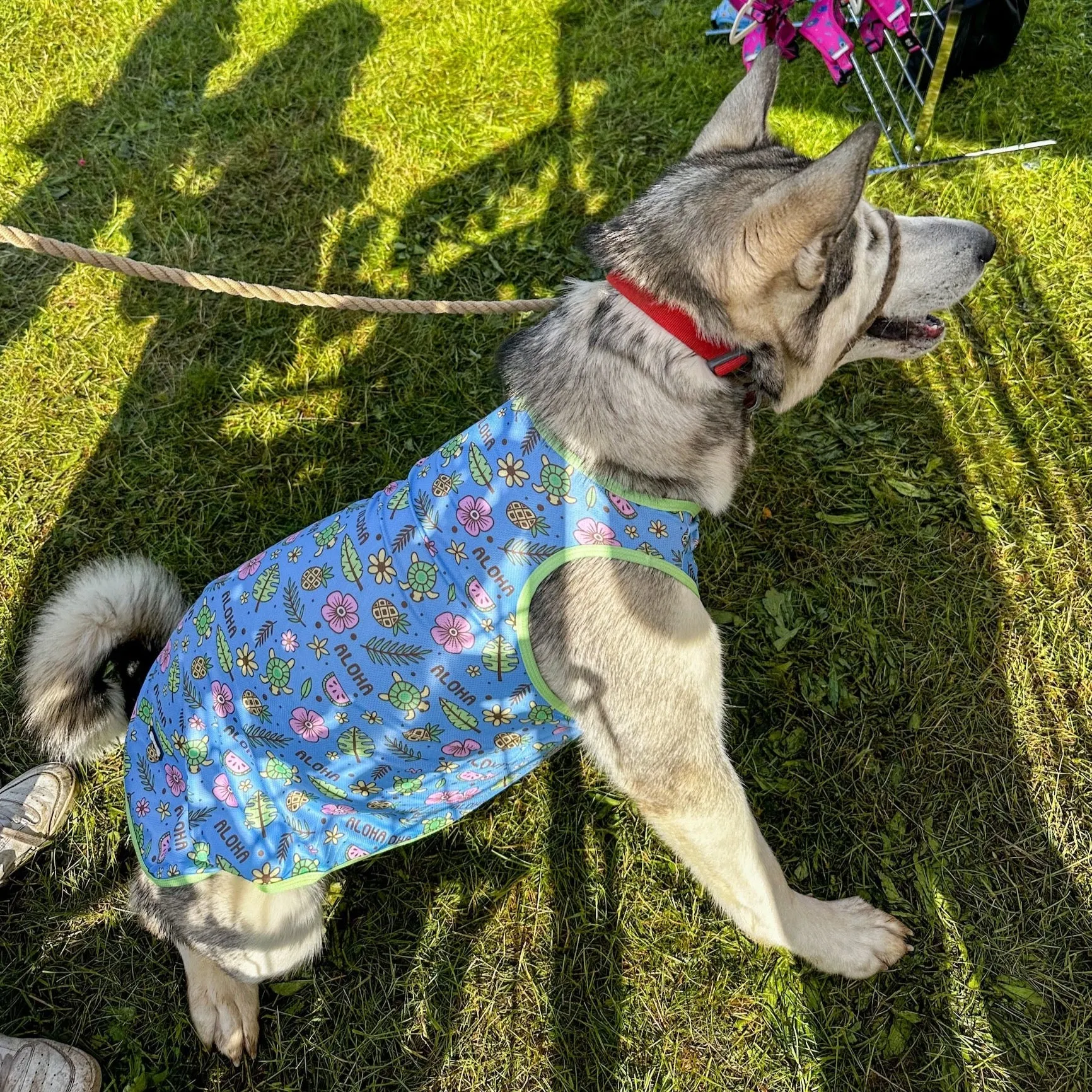 Island Breeze dog cooling vest - breathable dog summer t-shirt