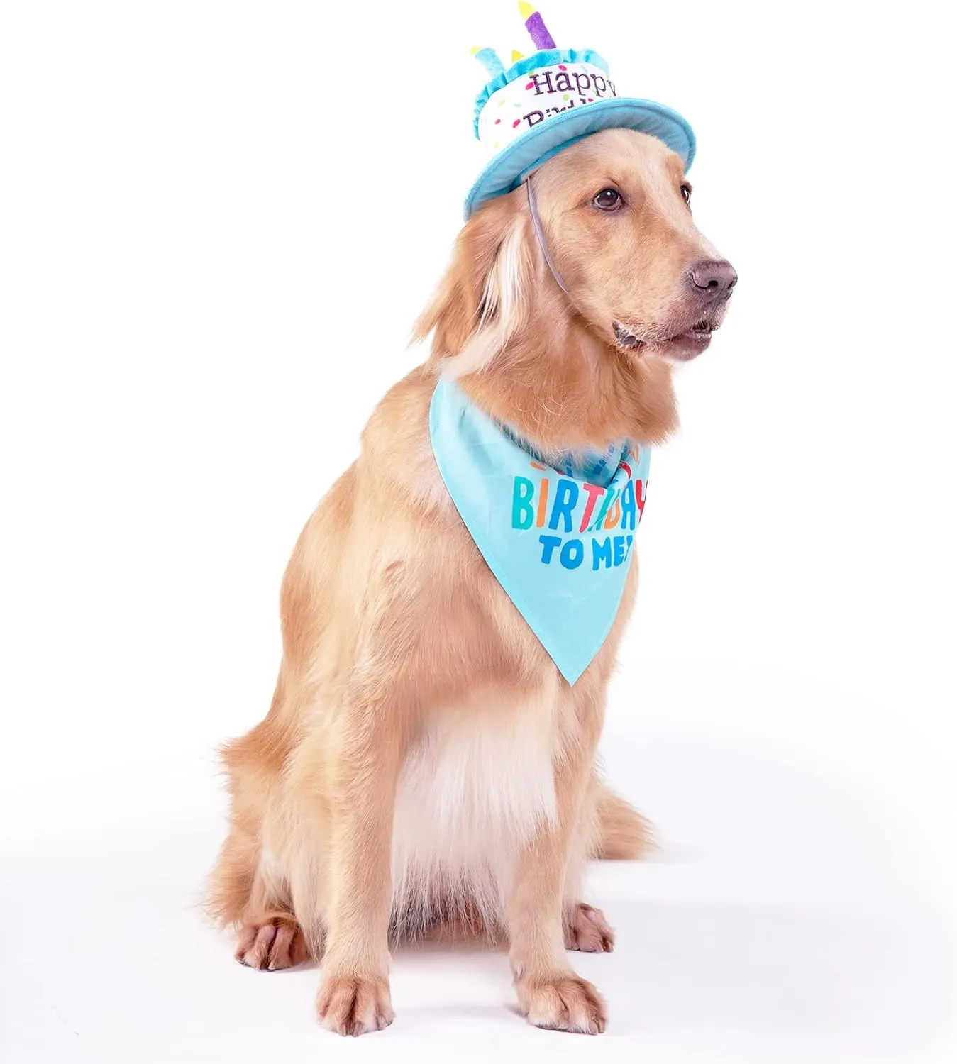 Large Dog Birthday Cake Hat & Bandana Scarfs Set Blue, Handmade Dog Happy Birthday Hat with Colorful Candles, Extral Large Dog Birthday Party Supplies Decorations