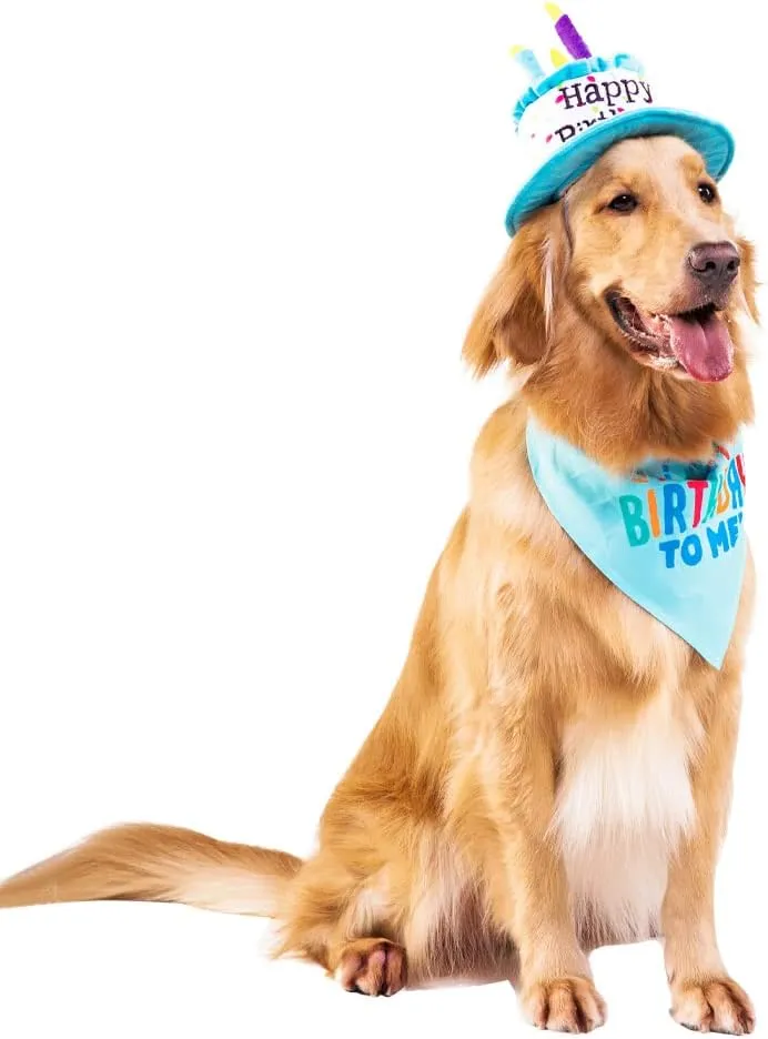 Large Dog Birthday Cake Hat & Bandana Scarfs Set Blue, Handmade Dog Happy Birthday Hat with Colorful Candles, Extral Large Dog Birthday Party Supplies Decorations