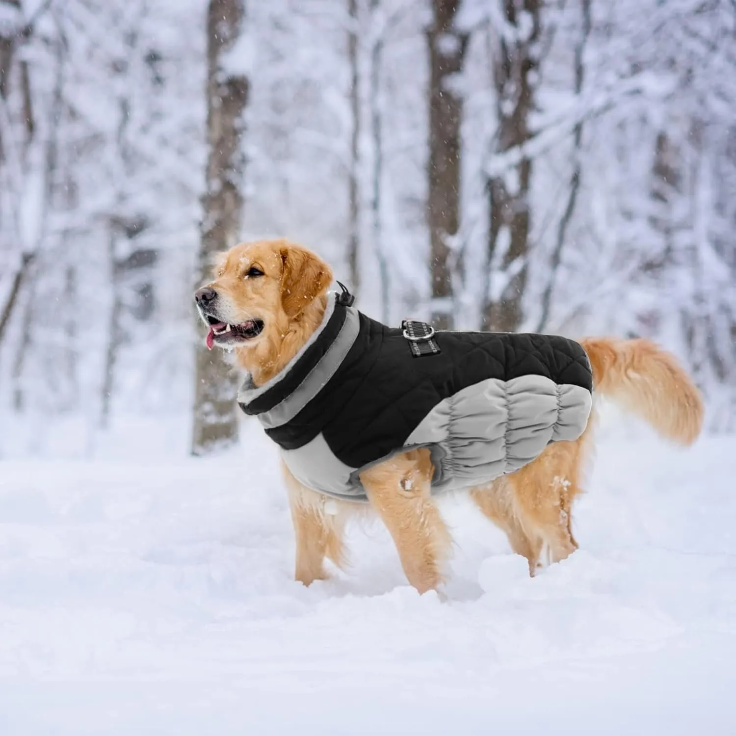 Lelepet Warm Winter Dog Coat - XX-Large, Waterproof, Windproof, Reflective, Fleece Vest with Turtleneck & Zipper - Coats for Large Dogs in Cold Weather, Black, 2XL