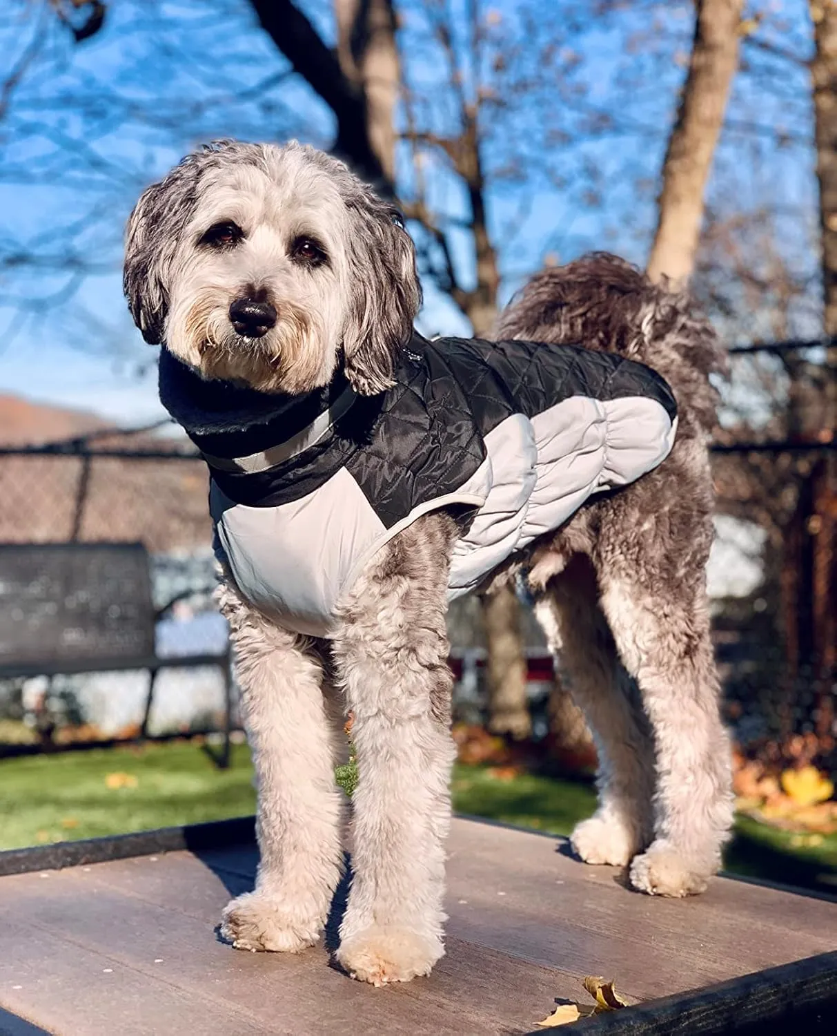 Lelepet Warm Winter Dog Coat - XX-Large, Waterproof, Windproof, Reflective, Fleece Vest with Turtleneck & Zipper - Coats for Large Dogs in Cold Weather, Black, 2XL