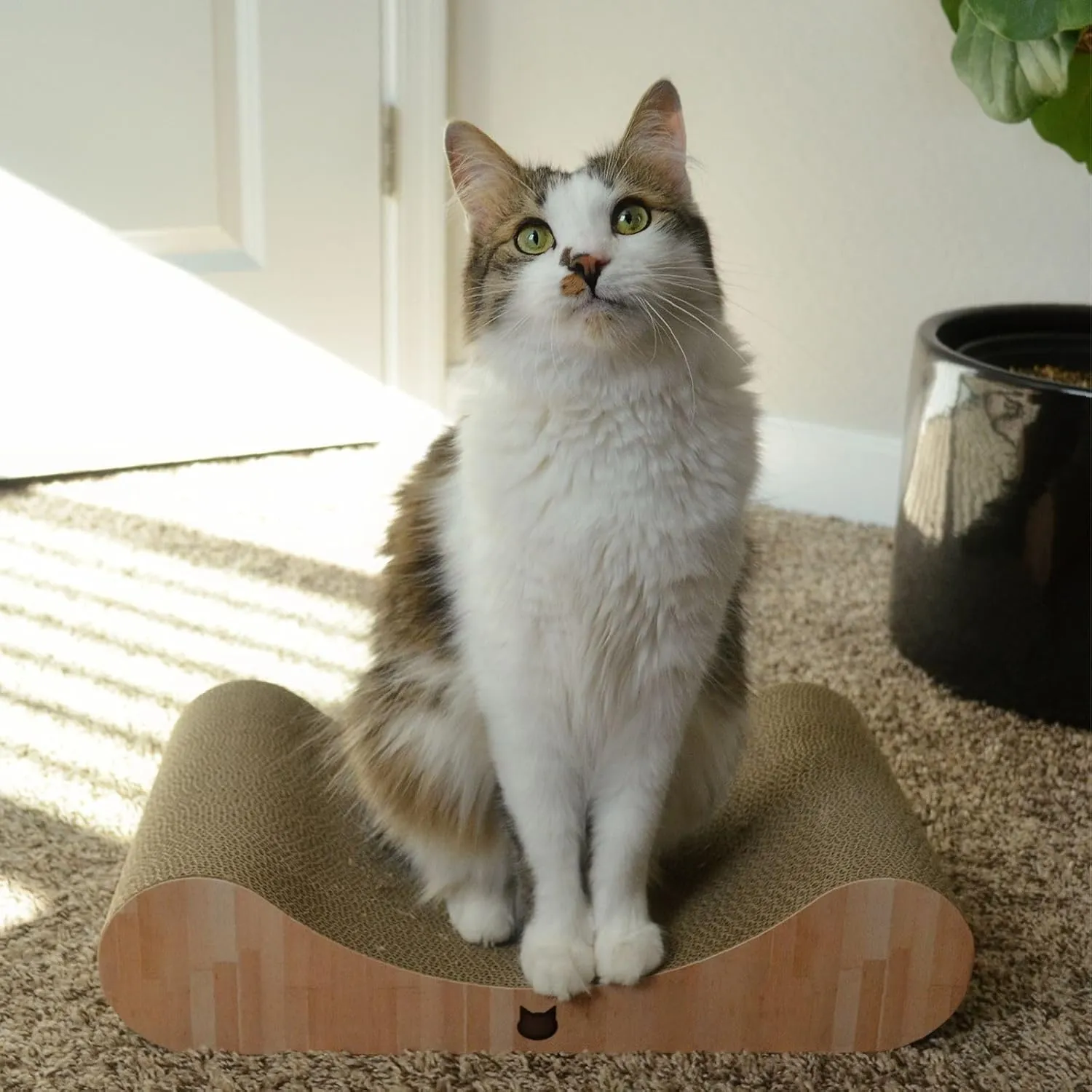 Necoichi Cardboard Cat Scratcher Bed for Indoor Cats - Cat Scratching Board, Horizontal Cat Scratch Pad Lounger with Reversible Usability and Extra Comfort for Lounge, Curved (18" Regular, Oak)
