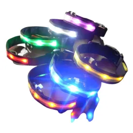 Night Safety Pet Dog Collar LED Light