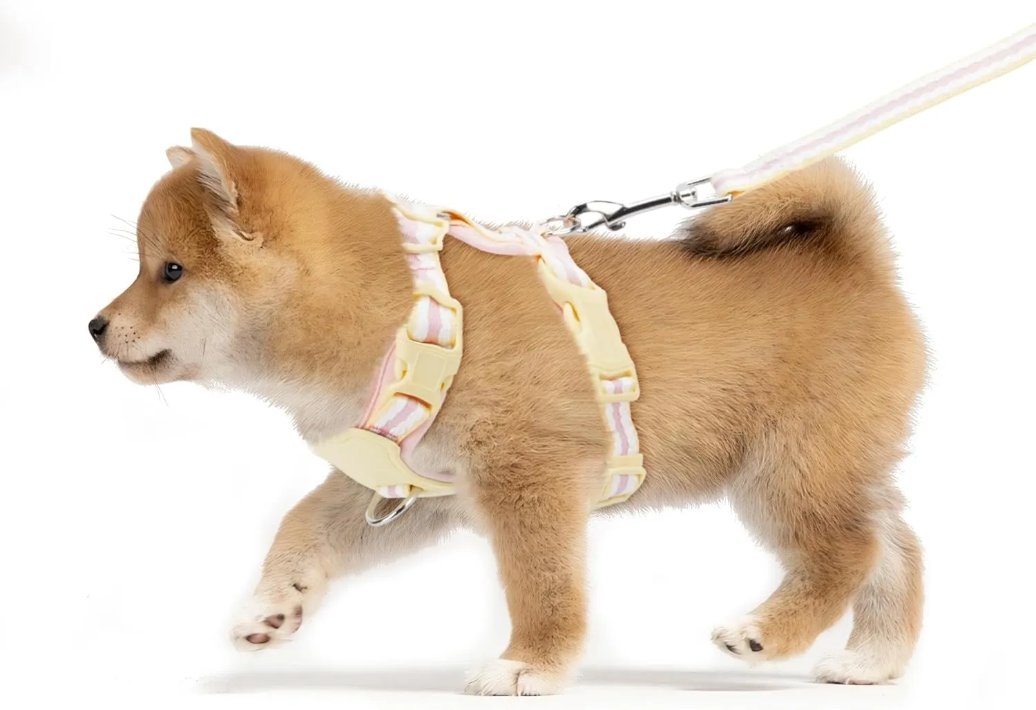 No Pull Dog Harness for Small Dogs 5-12lbs, Adjustable Padded Vest with Leash Set, Pet Harness for Walking Training