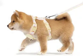 No Pull Dog Harness for Small Dogs 5-12lbs, Adjustable Padded Vest with Leash Set, Pet Harness for Walking Training