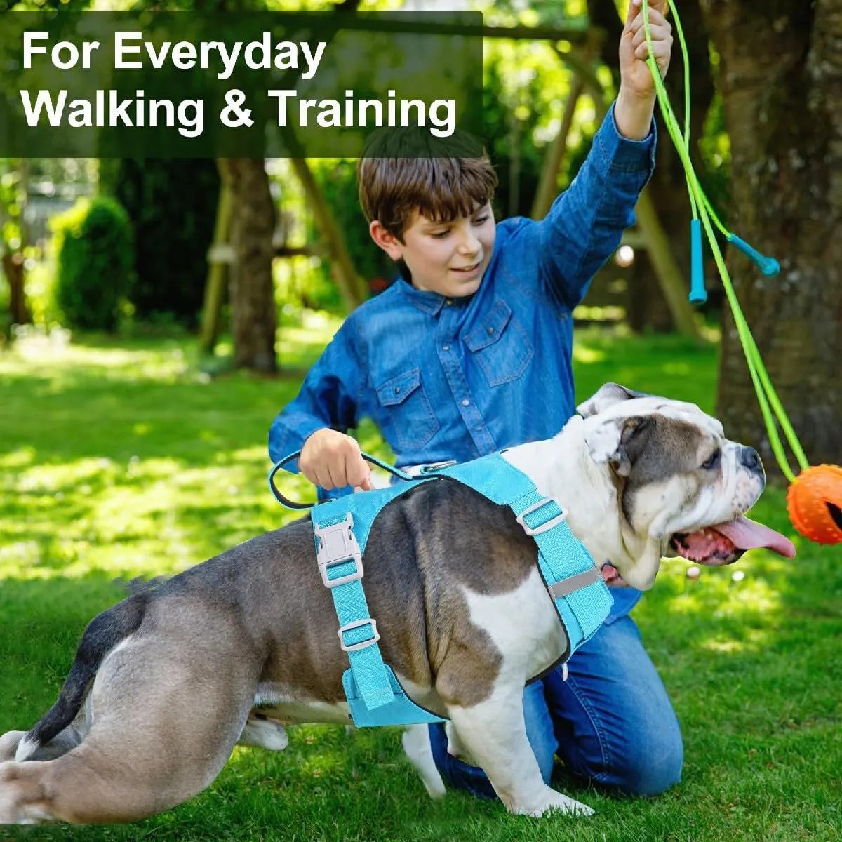 No Pull Dog Harness with Handle, Adjustable Soft Pet Vest Harness with Lightweight for Small Medium Large Sized Dog,Blue,M