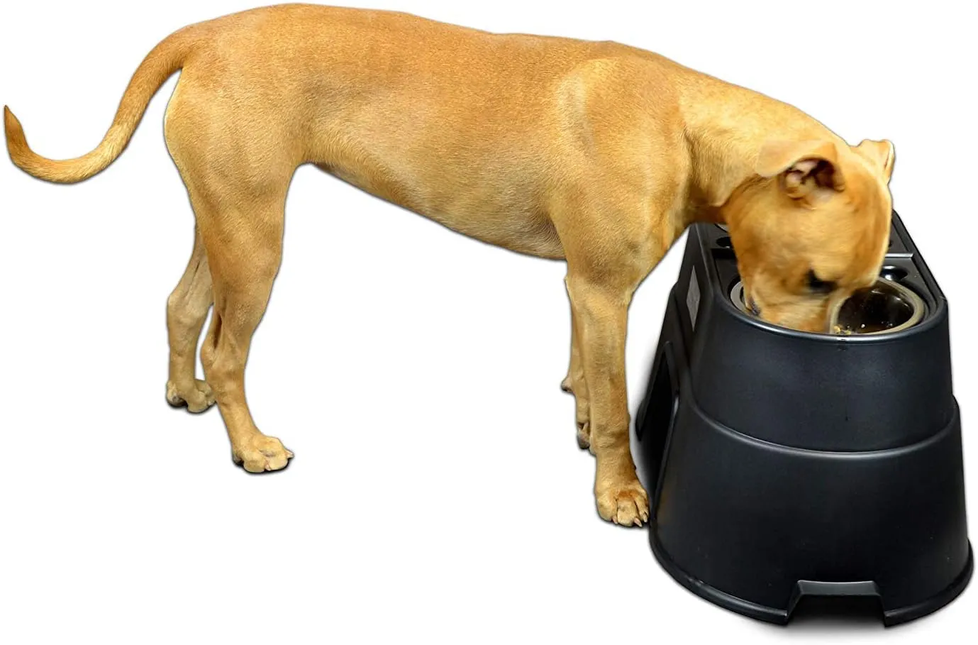 OurPets Comfort Diner Elevated Dog Food Dish (Bowls Available in 4", 8 inches and 12 inches for Large ; Medium and Small Dogs); Black; 12-inch