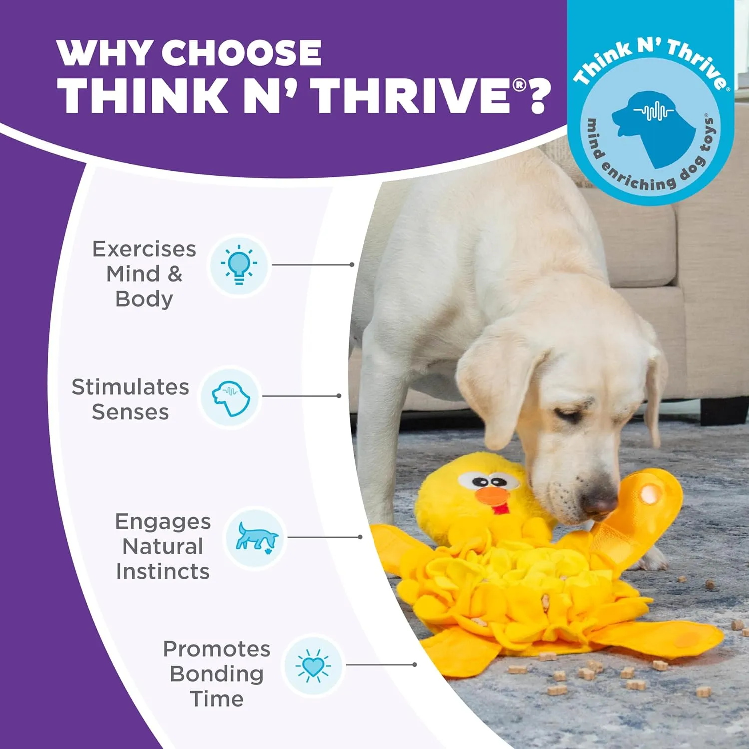 Outward Hound by Nina Ottosson Snuffle Palz Plush Snuffle Mat Dog Treat Puzzle, Non-Slip, Yellow, Chicken