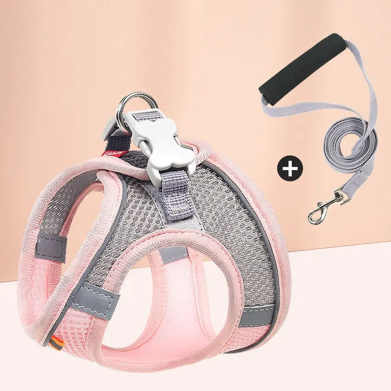 Pastel Colors Dog Harness Leash Set