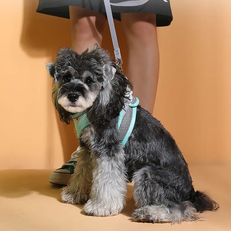 Pastel Colors Dog Harness Leash Set