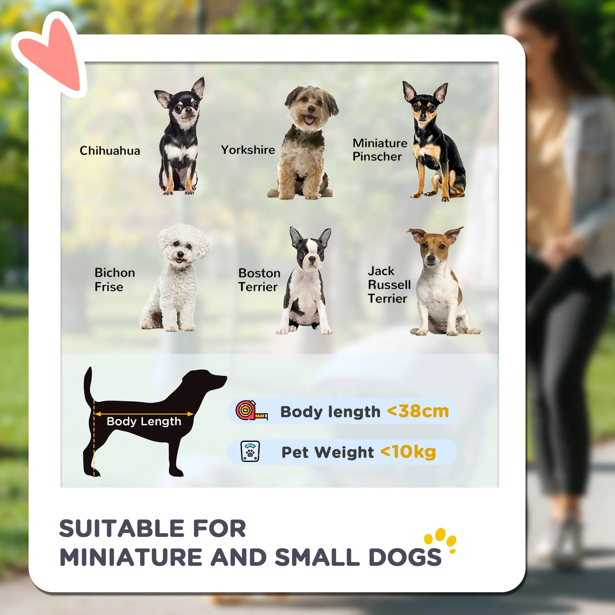 PawHut Pet Stroller for XS and S Dogs w/ Rain Cover