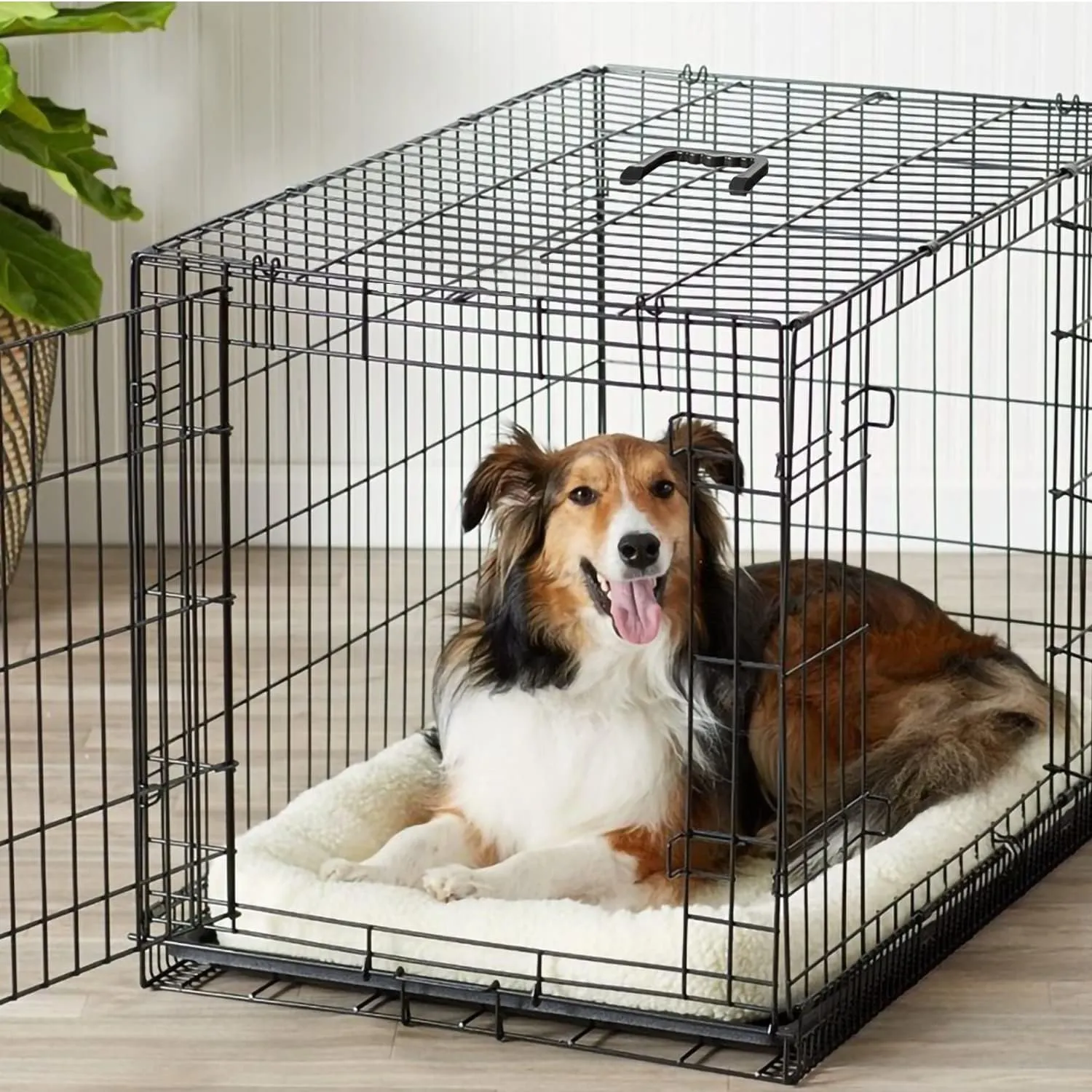 Pet Dog Crate, 36 Inches Metal Wire Large Dog Cage Double Door Folding Dog Kennel with Divider Panel, Leak-Proof Plastic Pan, Indoor Outdoor Pet Crates for Small Medium Breed Dogs Animals