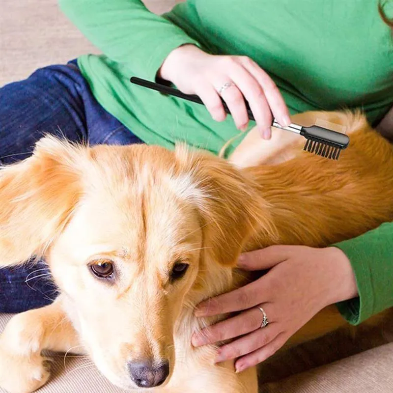 Pet Eye Comb Brush