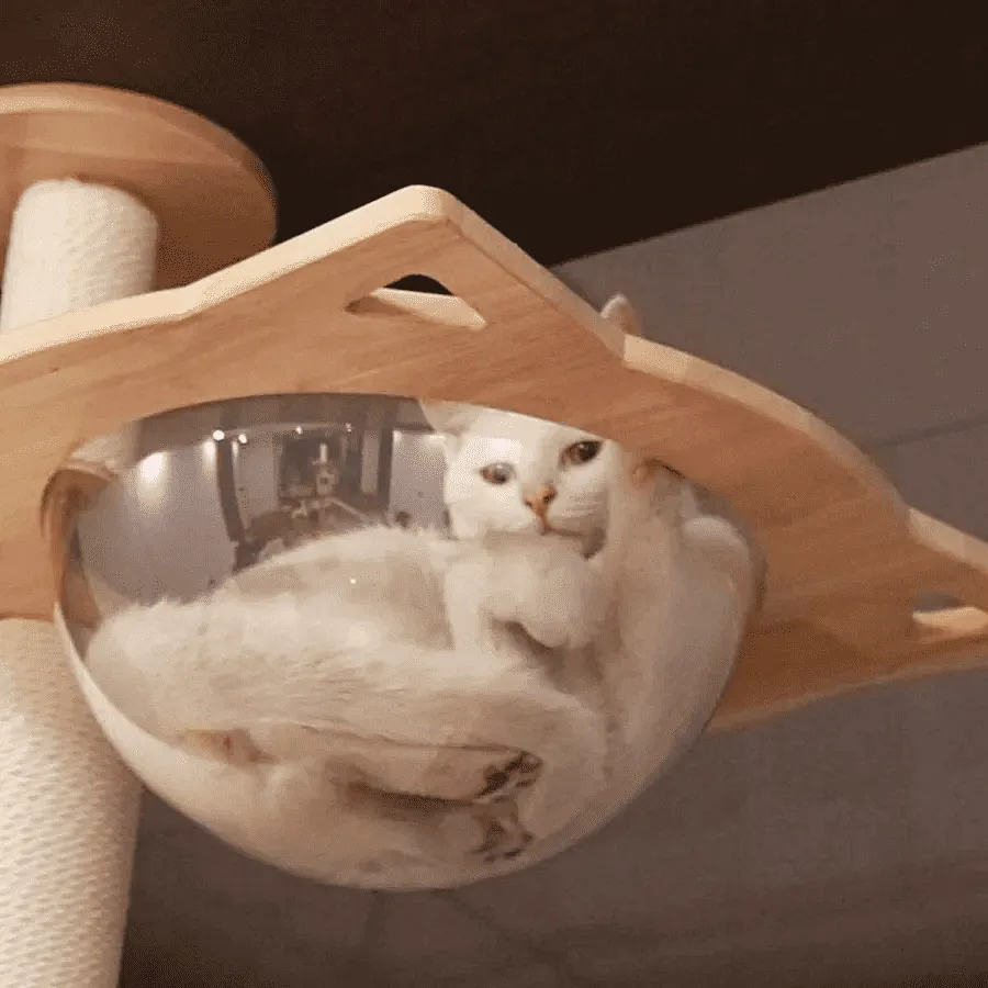 PETOMG Ceiling to Floor Cat Tree, Rubber Wood, No Drilling, Adjustable Height (90.6'' - 110.2'')