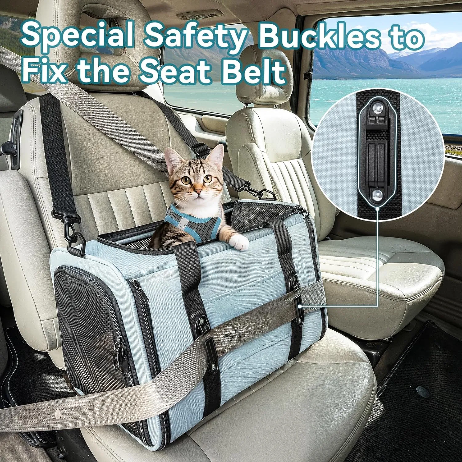 Petsfit Airline Approved Soft-Sided Pet Carrier for Cats & Dogs 18"x11"x11" - Lightweight Collapsible Cat Carrier with Patented Car Buckle, Adjustable Strap - 9 lbs Capacity (Cyan Blue)