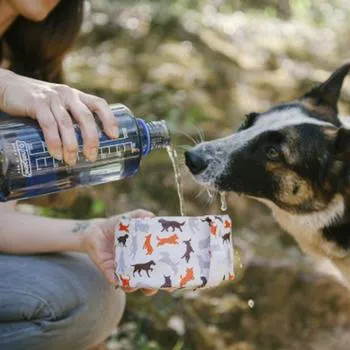 SCOUT AND ABOUT TRAVEL DOG/PET BOWL