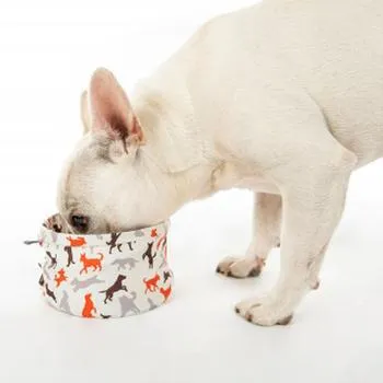 SCOUT AND ABOUT TRAVEL DOG/PET BOWL