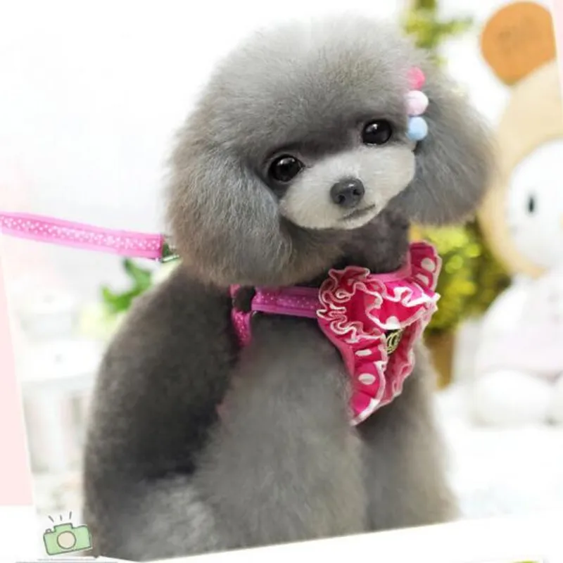 Small Pet Dog Collar
