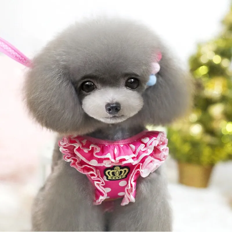Small Pet Dog Collar
