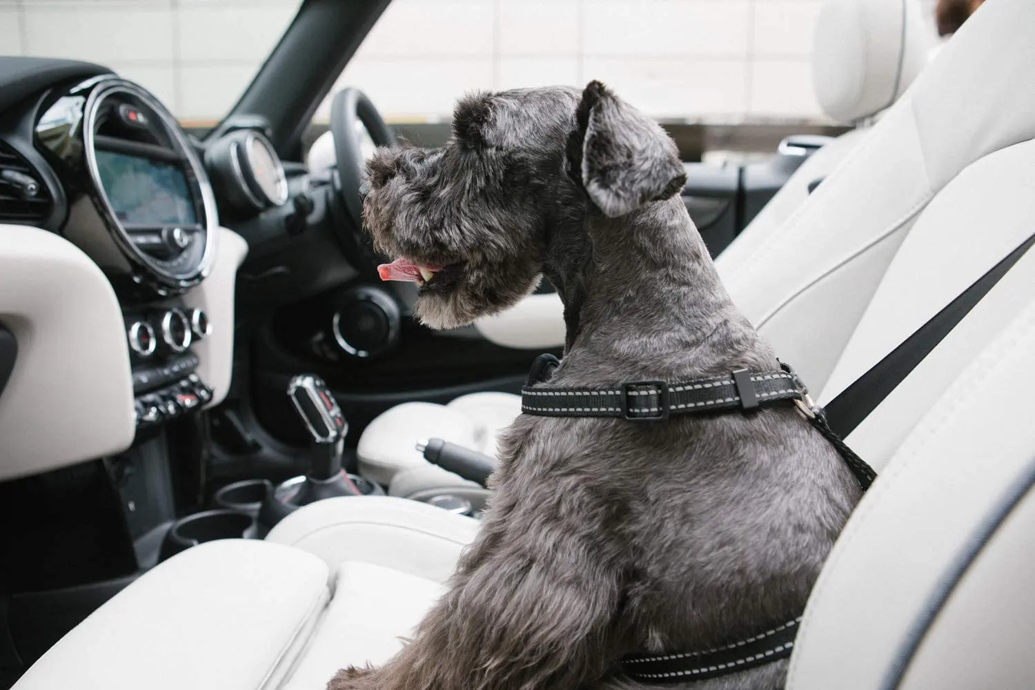 Travel Safety Pet Harness - K&H Pet Products
