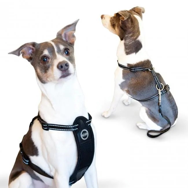 Travel Safety Pet Harness - K&H Pet Products