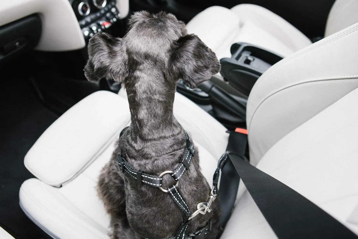 Travel Safety Pet Harness - K&H Pet Products