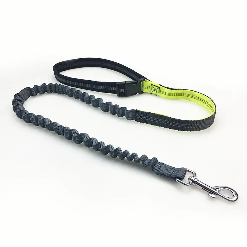 Waist Pet Dog Leash