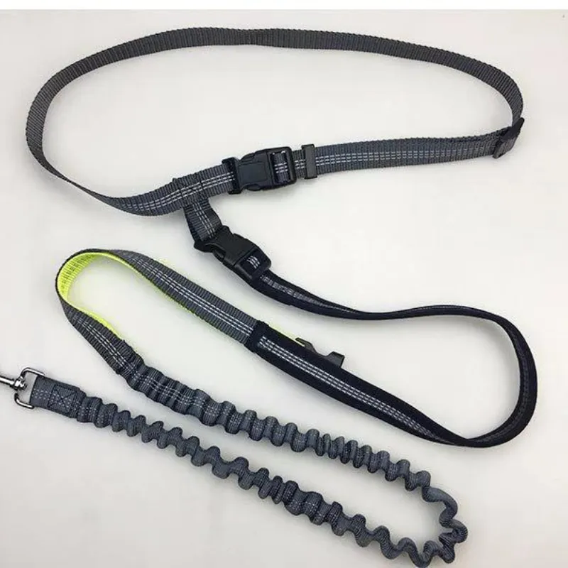 Waist Pet Dog Leash