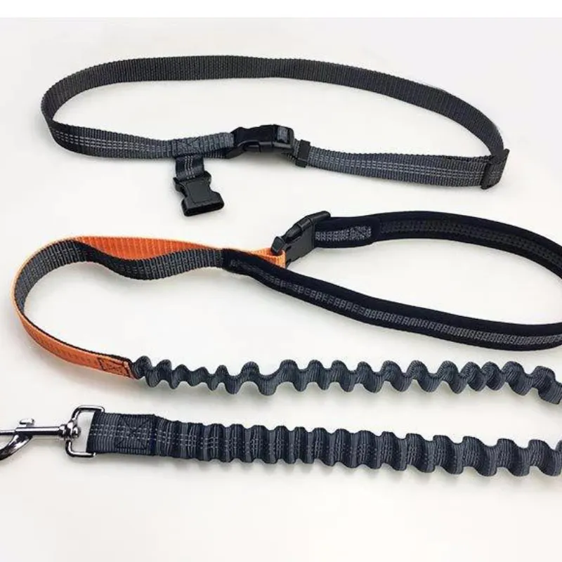 Waist Pet Dog Leash