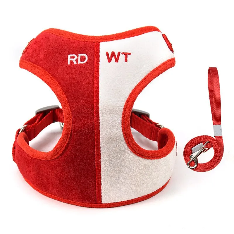 Walking Harness With Leash Set