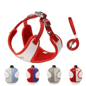 Walking Harness With Leash Set