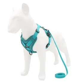 Walking Safety Pet Harness