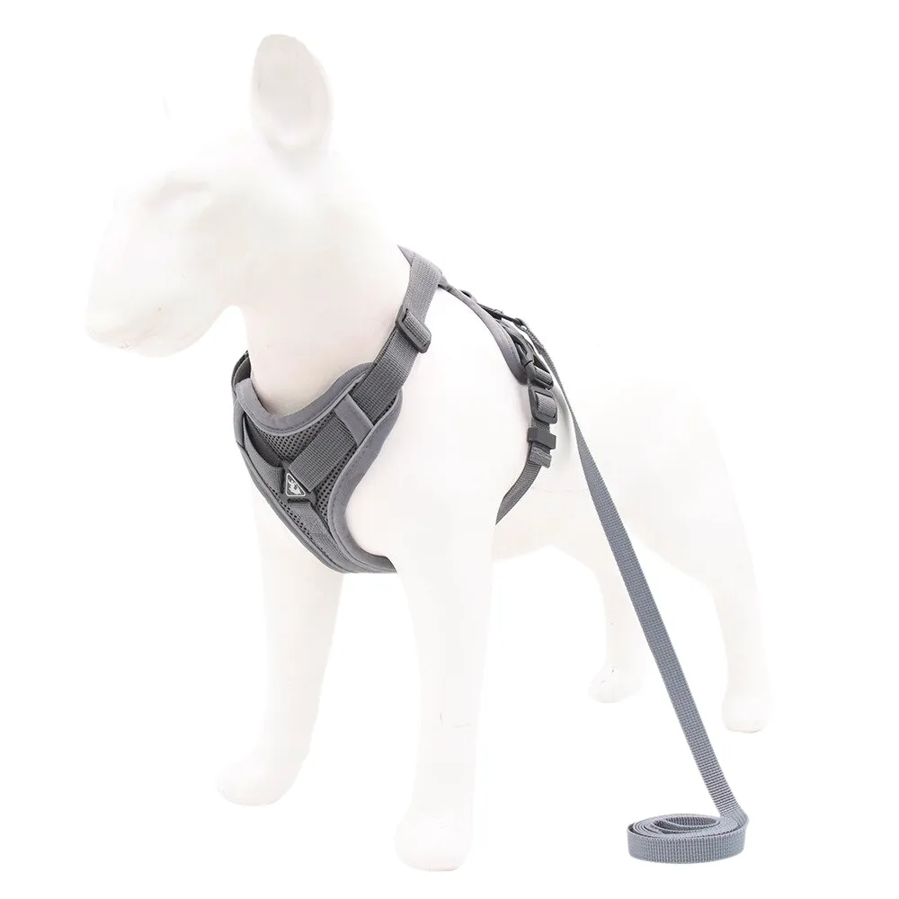 Walking Safety Pet Harness